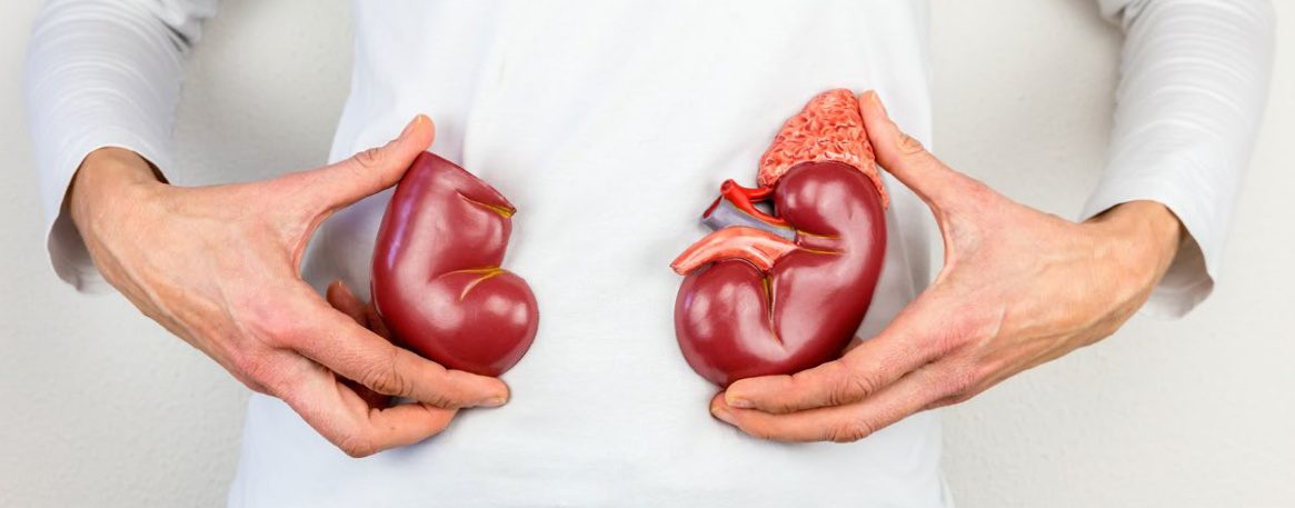 Pražský IKEM láme rekordy s 341 transplantacemi ledvin