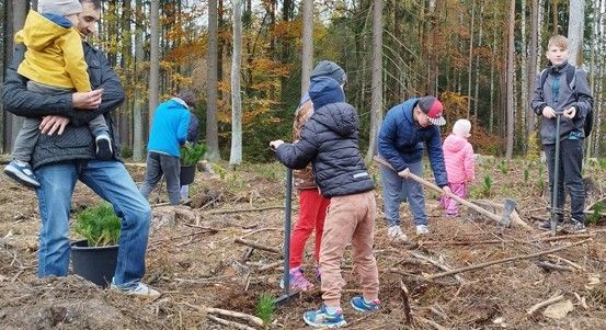 obrázek: Plzeň zve na Den pro les: sázení stromů a zábava pro rodiny