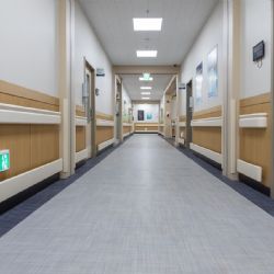 Pardubice slaví modernizaci nemocnice